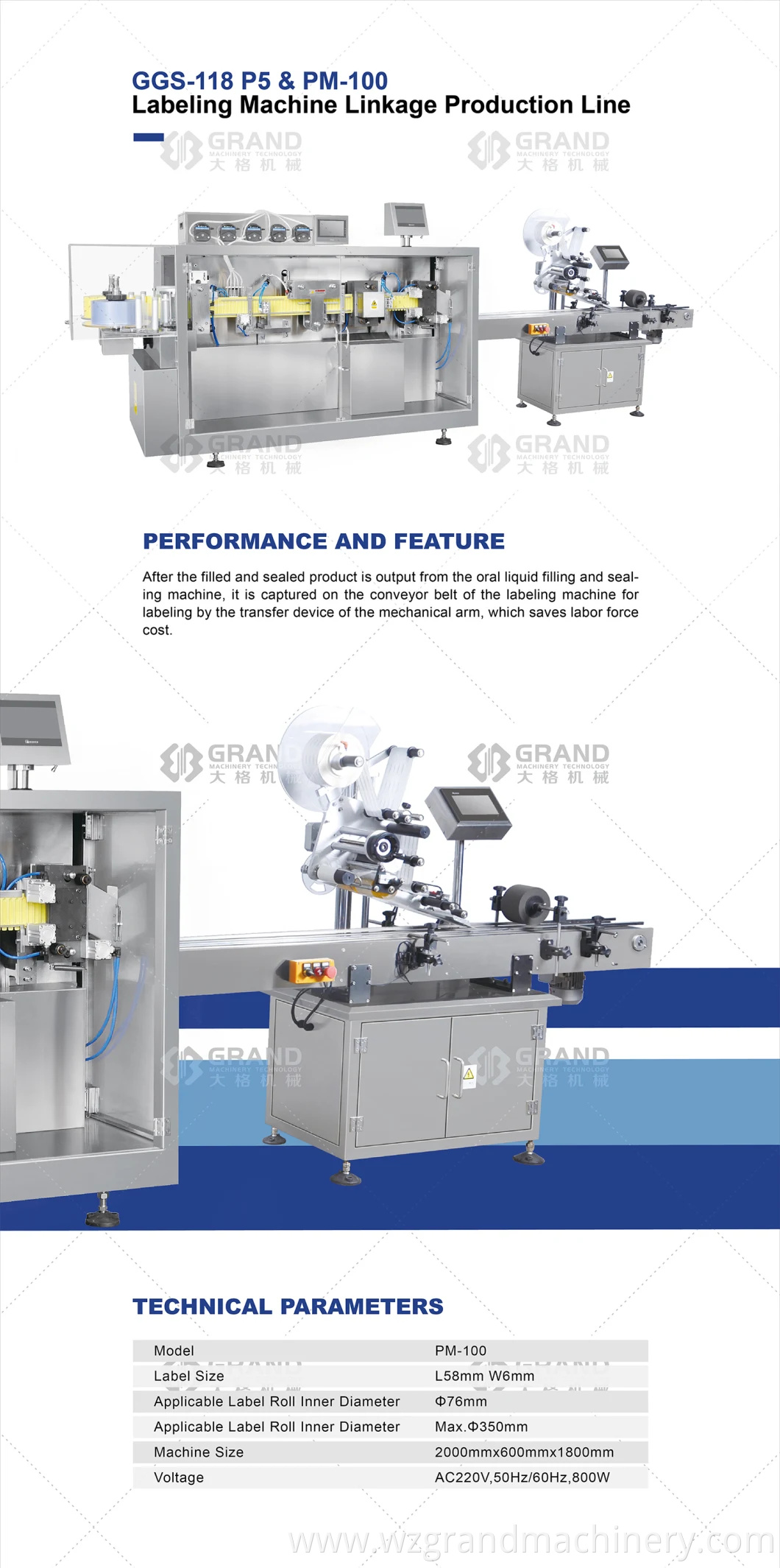 Ggs-118 P5 Automatic Plastic Ampoule Forming Filling Sealing Machinery with Pm-100 Labeling Machine